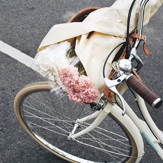 birdasaurus:  Jessica Alizzi 