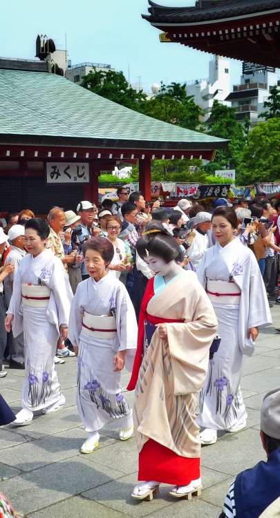 Geisha at Sanja Matsuri, Tokyo