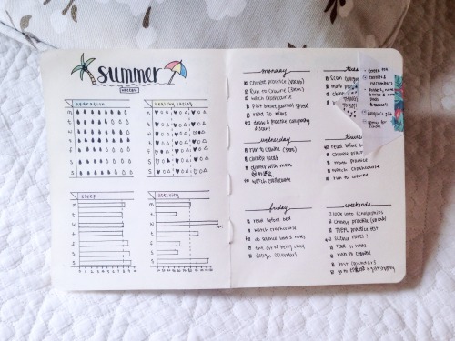 officiallystudying:| 10/20 days of summer |A quick bullet journal update from last week! decided to 