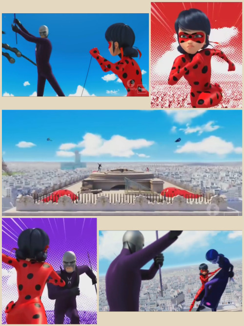 Ladybug