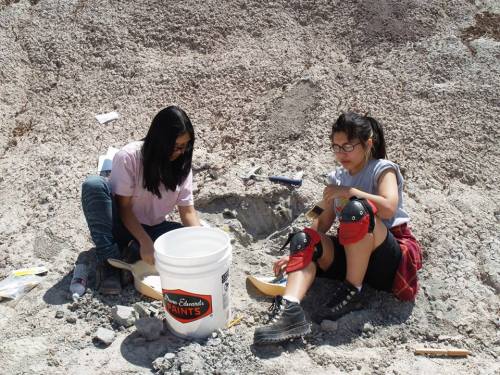 mypubliclands:#WomeninSTEM Wednesday:  Youth Uncover Clues to the PastIsabella St. Aude - a student 