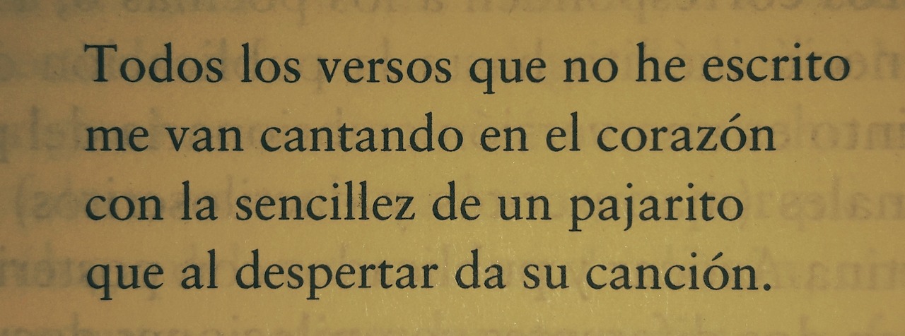 eljujeniodeletras:  Pablo Neruda