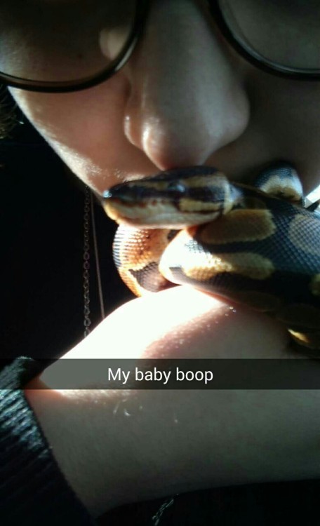greeneyesandscars:Tumblr say hello to my new noodle: Nagini who is three months old and a ball pytho