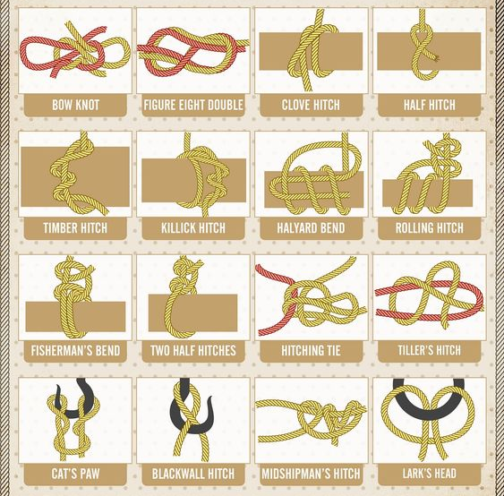 taichi-kungfu-online:do you know?