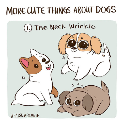 whatsupbeanie:More cute things about dogs :> Do your pups do/have any of these? I love the lil wr