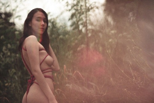 de fotos y shibari