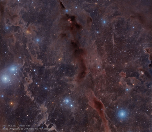 Dark Nebulae Barnard 18, Barnard 215, And More