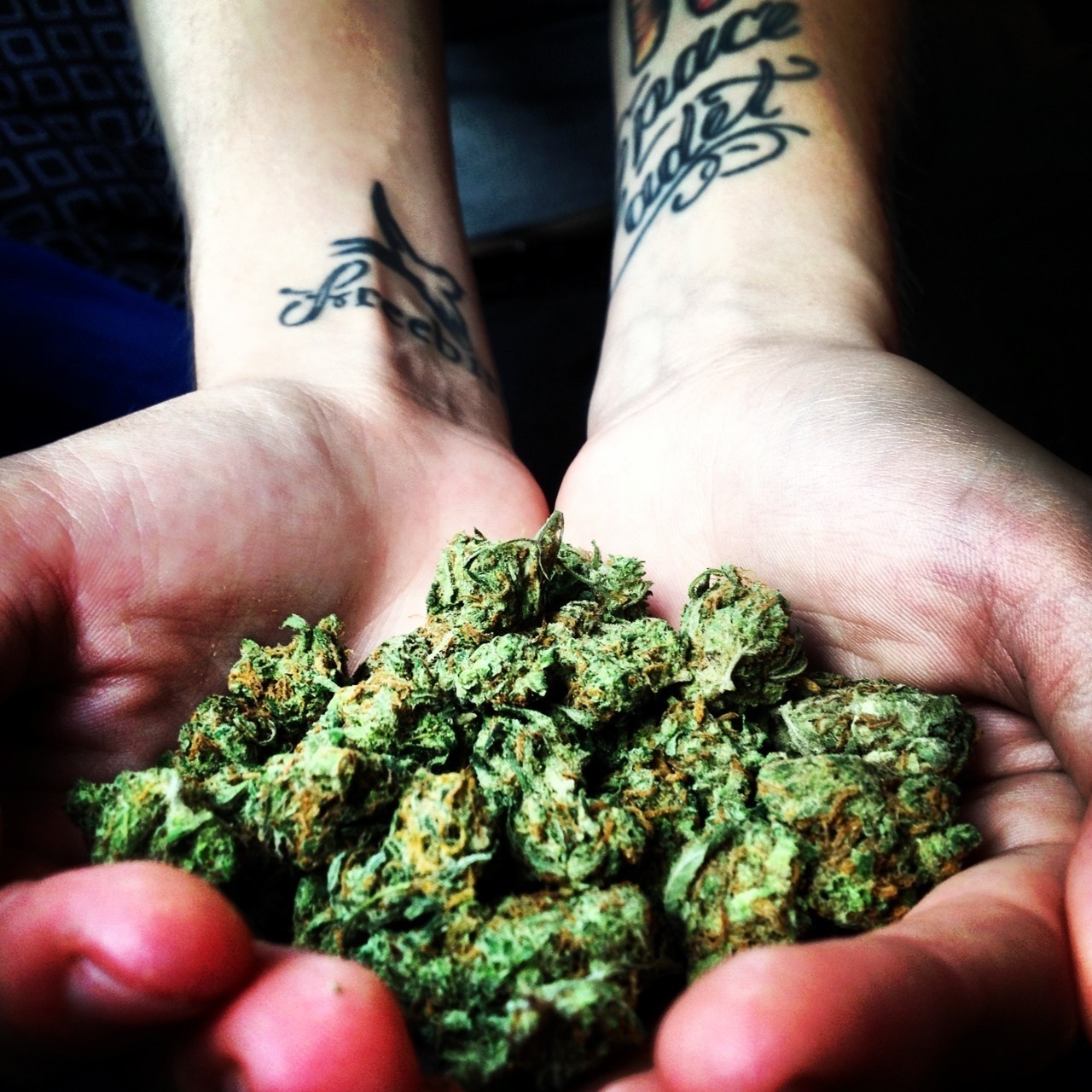 jourdansnose:  Pineapple Express. 