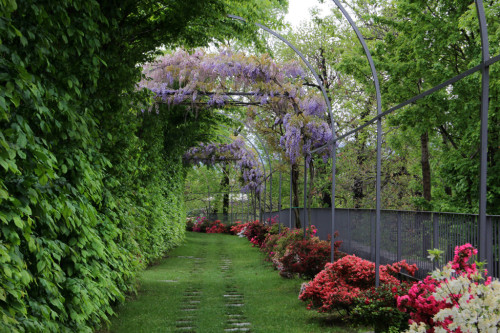 floralls:Biella - Palazzo Gromo Losa by Maria Grazia Schiapparelli