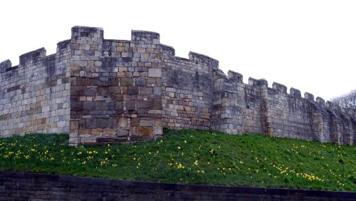 The Walls have Daffodils. York. England.