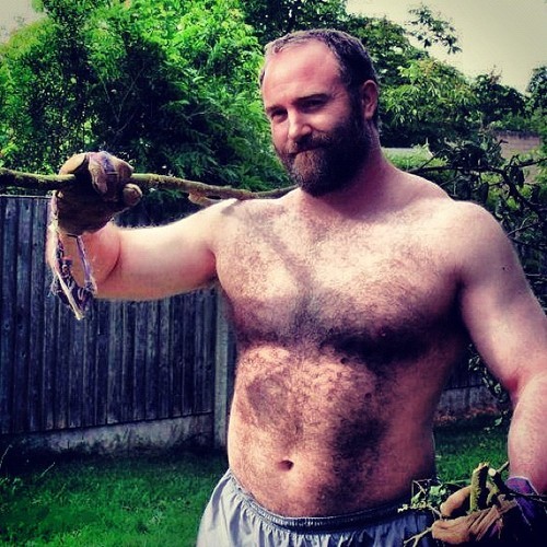 superbears:  BEAR