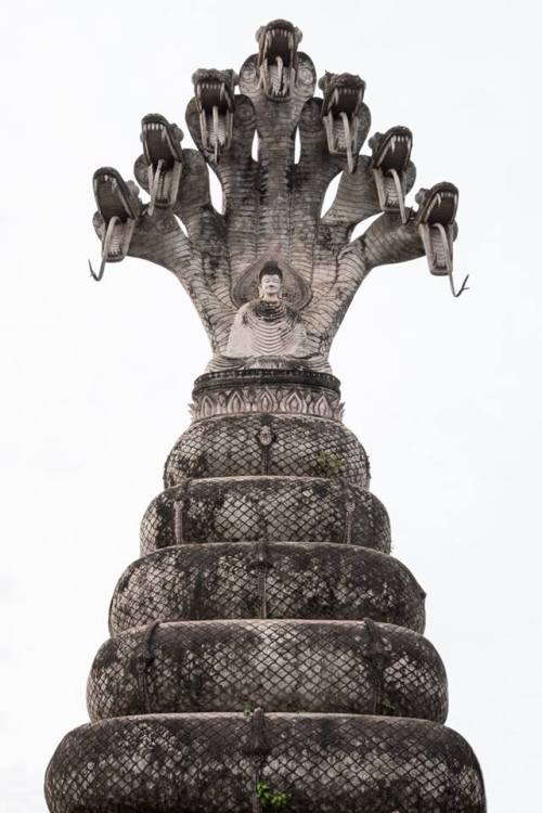 talonabraxas: The statue depicts the multi-headed serpent Naga, who protects the lord Buddha with i