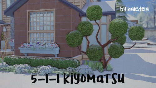 haledela 5-1-1 Kiyomatsu$90,531 | 30x20 | 6 Bed 5 Bathtraits: child’s play - sunny aspect - homey**e