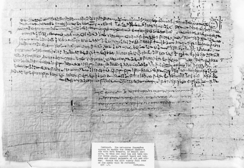 historyarchaeologyartefacts:  Ancient Egyptian papyrus contract: “The wet-nurse Shepenese agrees to suckle the steward Panese’s son with both breasts, if health permits, to wean and rear him and tend him for three years, against board and lodging