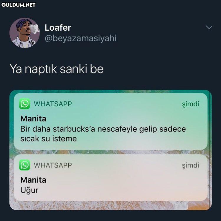 Uğur alfa mısın be Loafer...