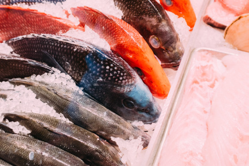 One Fish Two Fish Red Fish Blue Fish.Eataly in Manhattan is a such a strange and wonderful cavern of