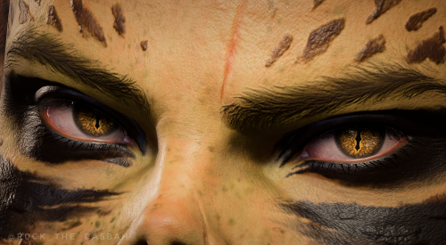 A Short Series With Companions' Eyes