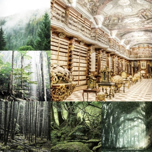 iwasjustwonderingwhyyourehere:@the-forest-library Here’s you url aesthetic!!!!Simply lovely! Thank y
