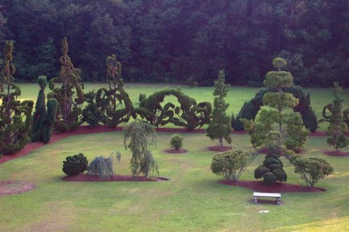 Artificial topiary trees