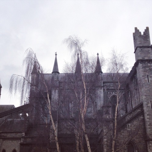 St Patrick’s Cathedral, Dublin (Jan 2016) | Suzanne Lynch | instagram