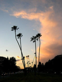 imposinggod:  Burton way by freakpower on Flickr. 