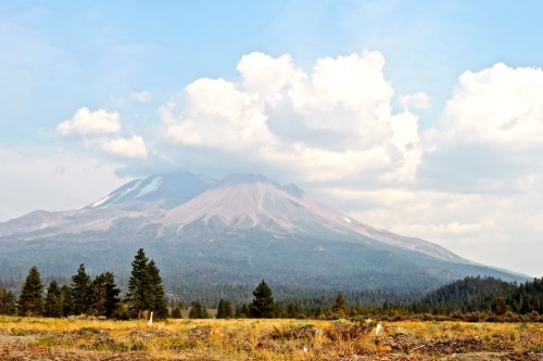 Morning View of Mt. Shasta, California, August 2014.About the best view I got of the stratovolcano f