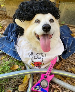 Sex scampthecorgi:Flashback to the ‘80s and pictures