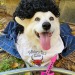 Porn Pics scampthecorgi:Flashback to the ‘80s and