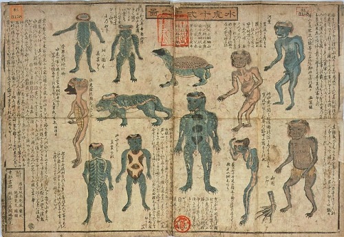 deathandmysticism:Illustrations of kappa, a yōkai demon or imp found in traditional Japanese folklor