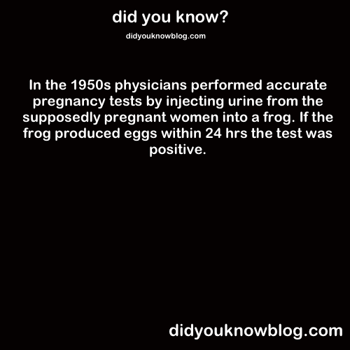 did-you-kno:  Source