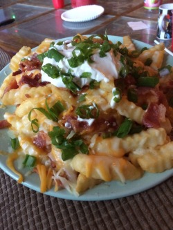 Best. Dinner. Ever. Bacon cheese fries with sour cream and chives. *drools*