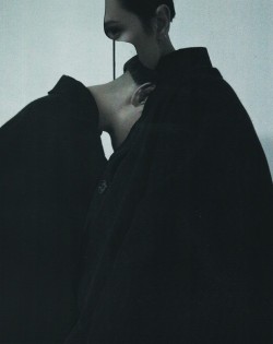 celines:  “Primer” by Jesse Draxler