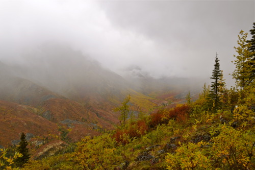 Tombstone Territorial Park 