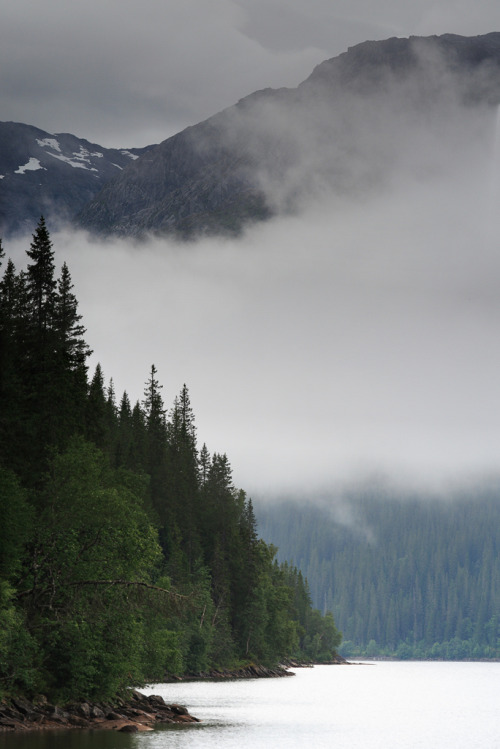 travelingcolors:  Misty fjord | Norway (by Forester 696)