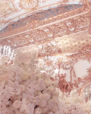 inkxlenses: Viennese Wedding- Palais Liechtenstein (Vienna, Austria) | by karentranevents