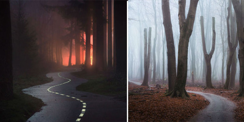 sortra: 14 Photos of Magical Fairy Tale Dutch Forests  View Full Post