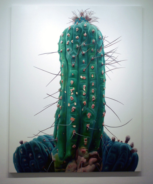 asylum-art-2:  Touchbby Kwangho LeeTouch is a series of hyperreal paintings by Korean artist Kwangho Lee.  the odd thing about cacti is that you actually DO want to touch them,  in all their weird, rubbery, spiky, fluffy glory. you know you  shouldn’t,