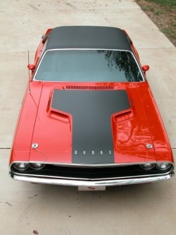 lalulutres:  1970 Dodge Challenger 440 Hemi