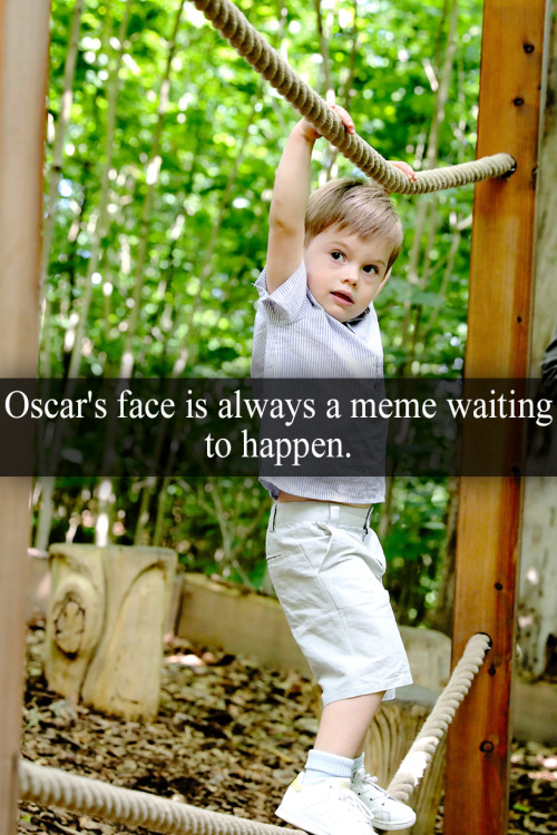 royal-confessions: “Oscar’s face is always a meme waiting to happen.” - Submitted 
