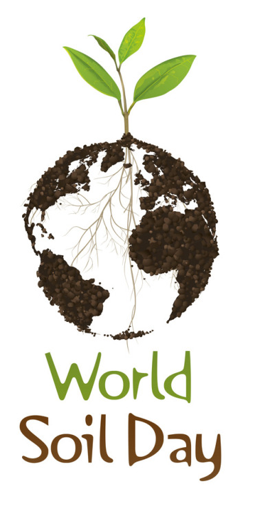 plantyhamchuk:It’s December 5th!!! “This year’s World Soil Day focuses on the