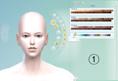 C’s Skin tone 1,2,3◆HQ or NonHQ ◆do not re-upload  재배포하지 마세요. ◆do not include mesh  메시포함해서 배포하지 