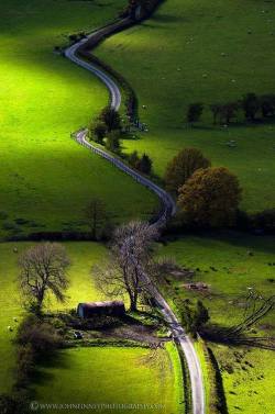 rosiesdreams:  If its green it must be England