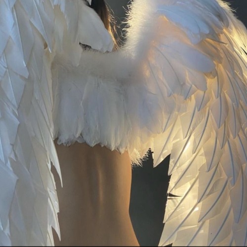 Angel Diet