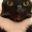 mae-stra