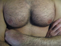 dilf-fan:  HOT, MUSCULAR, HAIRY PECS 