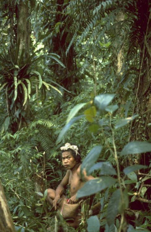 philippinespics: Buhid people, Mindoro island, Philippines