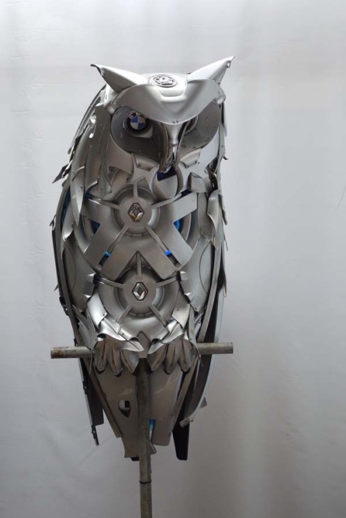 thefingerfuckingfemalefury: beben-eleben: Ptolemy Elrington likes to collect old hubcaps, and then h