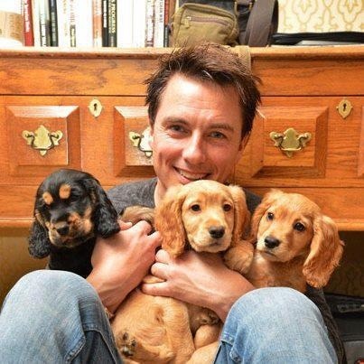 lisabucket:
“ I interrupt your scrolling with a picture of John Barrowman with puppies!
”