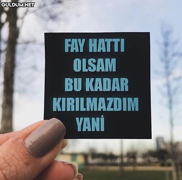 FAY HATTI
OLSAM
BU...