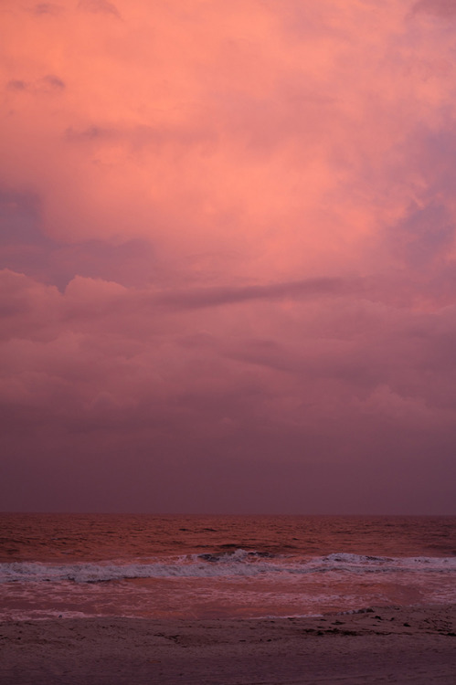 Wolfgang Tillmans, “Fire island”, 2015.